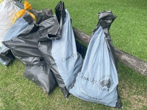 Clean Up Aust NSW Resultsd